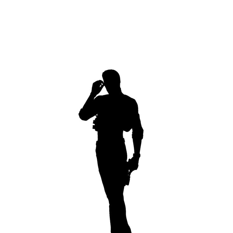 AlbertWeskerSilhouette Identify the Game by Its Villain